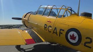 T6 Harvard walk around aviation canadianarmedforces [upl. by Laurie665]