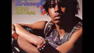 Edwin Birdsong  Rising Sign FunkyClimax 1973 [upl. by Llener160]