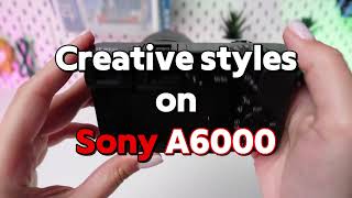 Sony A6000 Creative Styles amp Picture Effects Unleashed [upl. by Ssirk]