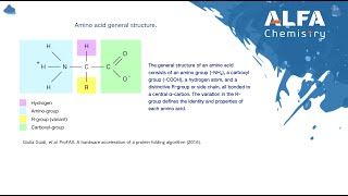 Introduction to Amino Acids Structure Classification and Functions [upl. by Purdum]