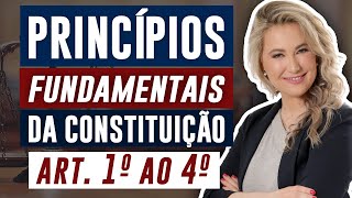 DIREITO CONSTITUCIONAL  PRINCÍPIOS FUNDAMENTAIS Arts 1º ao 4º da Constituição Federal [upl. by Aniratak312]