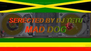 REGGAE MIX 1992～1993 DIGTALB MAD DOG MAJOR MACKERELTERRY GANZIEDADDY SCREWBOUNTY KILLER RECORD [upl. by Llerej511]