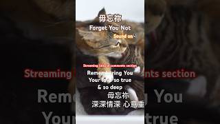 毋忘祢【粵語詩歌】Forget You Not Always remember Jesus sacrifice 敬拜詩歌 廣東話詩歌  粵語詩歌 敬拜讚美  基督救恩 5 [upl. by Lehteb593]