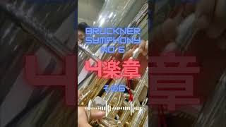 Bruckner Symphony No 6 4楽章その６ shorts tuba bruckner [upl. by Roux]