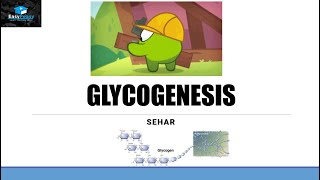 Glycogenesis Glycogen Synthesis [upl. by Ressler]