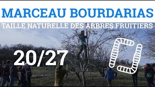 2027  MBOURDARIAS  Taille Naturelle des Arbres Fruitiers  La Taille de Formation [upl. by Edaw]