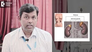 Prognosis of Myolipomas of Adrenal amp Angiomyolipoma  Dr Anantharaman Ramakrishnan [upl. by Harifaz]