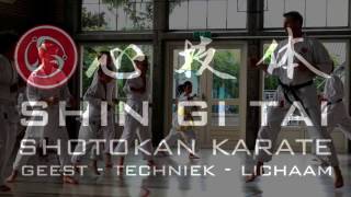 1 jaar Shin Gi Tai karate [upl. by Krever]