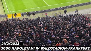 3000 NAPOLETANI IN WALDSTADIONFRANKFURT  Eintracht Frankfurt vs SSC Napoli 2122023 [upl. by Soutor]