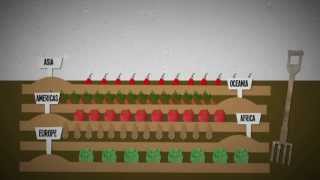 What is food insecurity An explanation [upl. by Palestine]