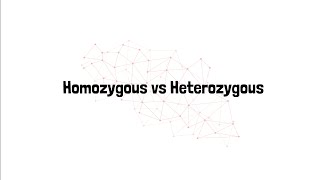 Homozygous vs Heterozygous [upl. by Ysus]