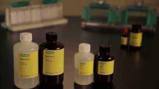 Casting Polyacrylamide Gels with TGX™ FastCast™ Kits [upl. by Higginbotham63]