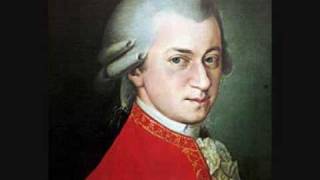 Mozart  String Serenade No13 quotEine Kleine Nachtmusikquot in G Major KV525  1st Movement [upl. by Neu]