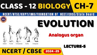 EVOLUTION I LECTURE5 I ANALOGUS ORGAN I BIOLOGY I CLASS 12 I NEETCBSEState Board [upl. by Arenahs]