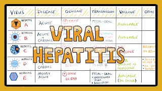 Viral Hepatitis Comparison in 3 Minutes  What are the different types of Viral Hepatitis [upl. by Rodmun]