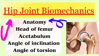 Hip Joint Biomechanics introduction with notes in detail [upl. by Ahsrats]