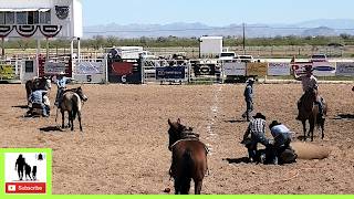 Stray Gathering  Rail 3 Ranch Rodeo Censored [upl. by Eiggem]