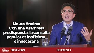 Mauro Andino  Con una Asamblea predispuesta la consulta popular es inoficiosa e innecesaria [upl. by Chainey]