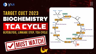 Biochemistry  Glycolysis Linkage Step TCA Cycle Short Summary  CUET 2023 [upl. by Nicolis]