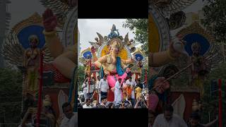 Mahaganpati aagman 2024  tardeo cha raja 2024 aagman sohala  colaba cha yuvraj 2024  Ganpati [upl. by Mcroberts]