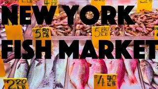 New York Fish Market [upl. by Mungo]