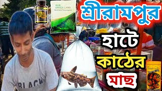 শ্রীরামপুর হাটে নতুন নতুন রঙিন মাছের দোকান 😃 serampore pet market serampore fish market [upl. by Akelahs]