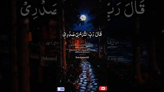 Rabbi sh rahli sadri wa yassirli amri  Surah Taha  سورۃ طہ shorts rabbi success youtubeshorts [upl. by Mitchael]