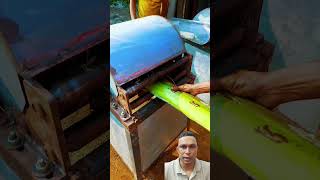 কলা গাছের সুতা shortsfeed bananafiber makingsanitarypads textile bananatree yarnmakingmachine [upl. by Trace758]