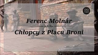 Chłopcy z placu broni  Ferenc Molnár Całość Bez reklam Audiobook [upl. by Thorpe]