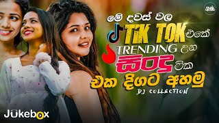 2024 TikTok Viral Songs ටික් ටොක් හිට් උන අලුත්ම ටික Best TikTok Trending Songs playlist 2024 [upl. by Yesnek650]