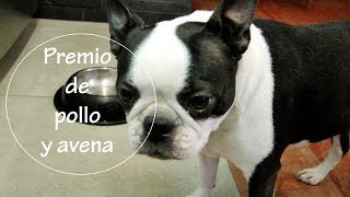 PREMIO para PERROS con POLLO y AVENA en OLLA  Acqua Rosa Recetas [upl. by Rednav]