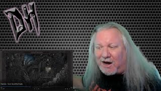 Mastodon  Toe To Toes REACTION amp REVIEW FIRST TIME HEARING [upl. by Rich]