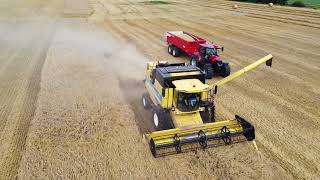 New Holland combine aan het combinen [upl. by Aney343]