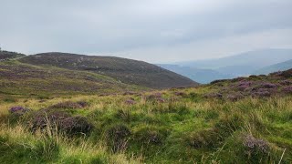 나홀로 아일랜드 여행🧳장엄한 위클로 국립공원Wicklow Mountains National Park🇮🇪♡ [upl. by Oicnecserc]