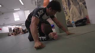 Fabricio Andrey And Hoanes Nacib Scrap In ADCC Training [upl. by Darum]