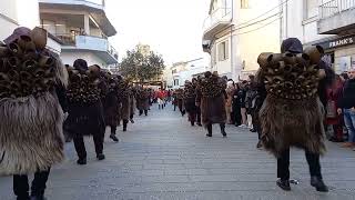 MAMOIADA  CARNEVALE 2022  ESIBIZIONE MAMUTHONES GRUPPO ATZENI  BECCOI [upl. by Arie]