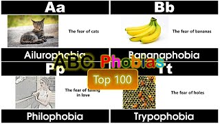 ABC Phobias for Children  Kids  Top 100 [upl. by Kcirttap]