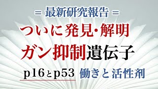 ついに発見・解明 ガン抑制遺伝子 p16とp53 働きと活性剤 [upl. by Esinek]