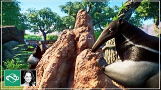 🐜 Giant Anteater Habitat  Koali Zoo  Planet Zoo Collab  Ep 23 [upl. by Towrey]