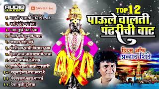 Top 12 Super Hit Vitthal Songs Marathi Paule Chalti Pandharichi vaat Prahlad Shinde Bhakti Songs [upl. by Annirok]