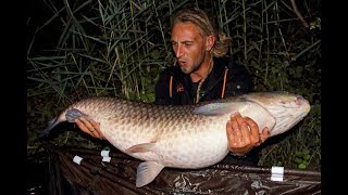 Karpfenfischen Österreich  CARP fishing Austria  Richard Fodermayer [upl. by Concoff]