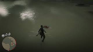 Red Dead Redemption 2 Colhereiro localização  SPOONBILL PLUMES Best Location [upl. by Tonia]