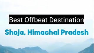 ✨Best Offbeat Destination Shoja Himachal Pradesh🏔️👌 [upl. by Casimire]