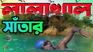 সিলেট লালাখালে ১০ কিলোমিটার সাঁতার প্রতিযোগিতা  Lala Khal  Alamin Akik [upl. by Chloe]