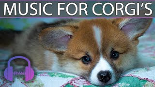 Relaxing Music For Corgi  For Barking Anxiety HyperActivity And Sleep [upl. by Yenruoc595]