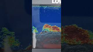 Lowrance Hook Reveal 7 [upl. by Euqirne]