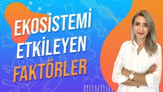 41DERS EKOSÄ°STEMÄ° ETKÄ°LEYEN FAKTÃ–RLER  TYT 10SINIF l Seda Hoca Biyoloji ğŸ¤— [upl. by Coyle]