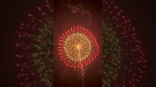 8quot inch displayshells fireworks2024 洋丰8寸八重芯 [upl. by Jany]