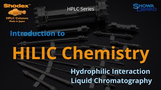 Understand HILIC mode in HPLC [upl. by Ulphiah451]