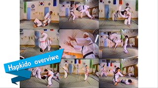 Overview of Hapkido techniques 2 [upl. by Clem]